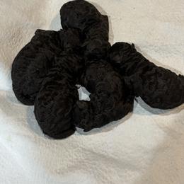 Laney - Silver female Poodle puppy in Florence County, South Carolina from Modern Family Standards