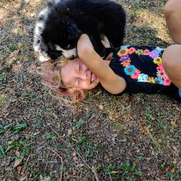 Australian Shepherd Puppies from Southern Boy Blues Aussies