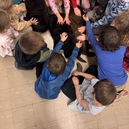 Newfoundland Puppies from Lonepine Newfoundlands