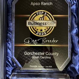 Lhasa Apsos from Ponderosa Lhasa Apso Ranch