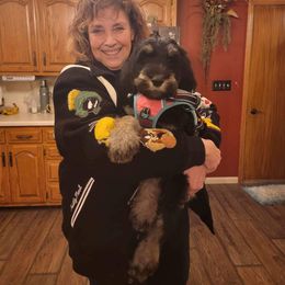 Giant Schnauzer Puppies from House of Roth Giant Schnauzers