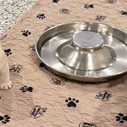 Ty - Fawn male French Bulldog puppy in Campbell Hall, New York from Charlie’s Frenchies