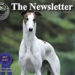Greyhounds and Salukis from Hounds of Wynsyr