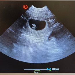 Tornjak Puppies from Tornjak Kennel "Od Dinare"