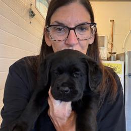 Girl 3 - Black female Labrador Retriever puppy in Remsen, New York from Lake Julia Labradors