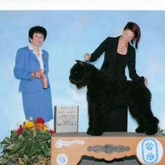 Bouvier des Flandres and Rat Terrier All Grown Up from DHart Farm & Kennel