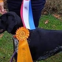 German Shorthaired Pointers from Janice's German Shorthaired Pointers