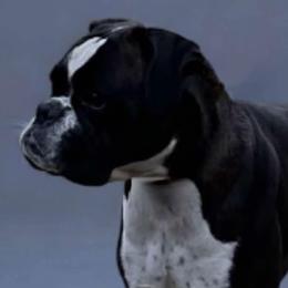 Boxers from Von Di Ludus