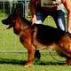 Ares