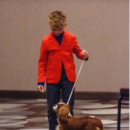 Cavalier King Charles Spaniel All Grown Up from KINGDOMRUN Cavaliers