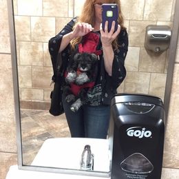 Miniature Schnauzer Puppies from Daniels Mini Schnauzers