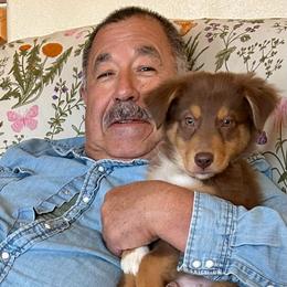 I'm A Country Boy - Red tri-color male Australian Shepherd puppy in Alamogordo, New Mexico from Two Nichols Aussies