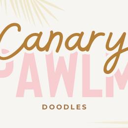 Goldendoodles from Canary Pawlm Doodles