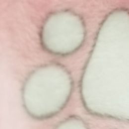 Boy 2 - French Bulldog puppy in Yakima, Washington from Ginny's Frenchies