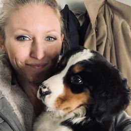 Bernese Mountain Dog Puppies from Berner Bud Farm