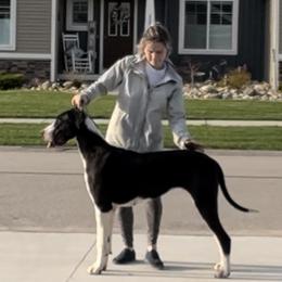 Rheya - Great Dane