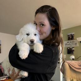 Great Pyrenees Puppies from Bobby Horton