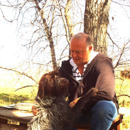 Wirehaired Pointing Griffon All Grown Up from Ear Mountain Griffons