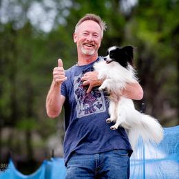 Jimmy choo - Black brown and white male Papillon puppy in Creola, Alabama from Inspire Papillon