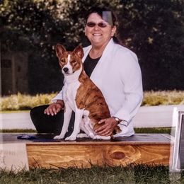 Basenjis from WayCon Basenjis