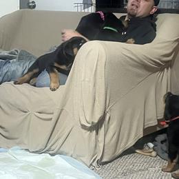 Rottweiler Puppies from CG Rottweilers