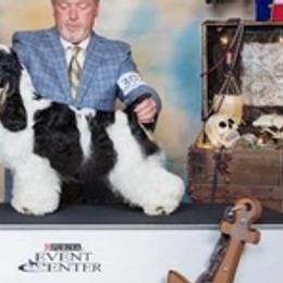 Cocker Spaniels from Tre-Vor Cocker Spaniels