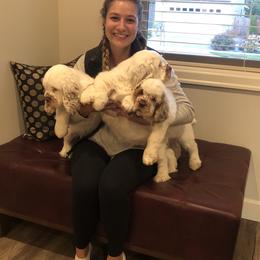 "Our daughter and co-breeder Lauren" Clumber Spaniel Puppies from Creswick Clumber Spaniels