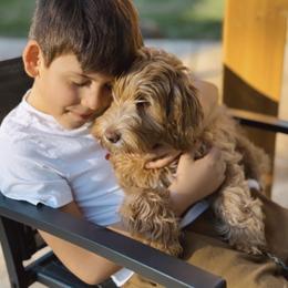 Riley - Australian Labradoodle