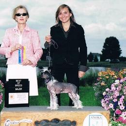 Chinese Crested Puppies from Breezy Meadows