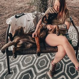 Belgian Malinois Puppies from MDK Malinois