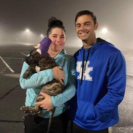 Great Dane Puppies from F&B Kennels