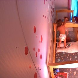 Toy Australian Shepherd All Grown Up from The Ranch of the Sun Toy Aussies