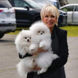 Lenox - Pomeranian