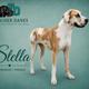 Stella