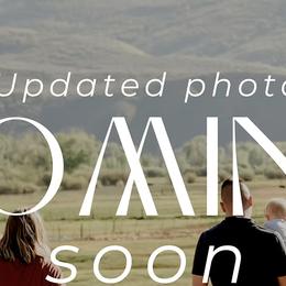 Joey - Bernese Mountain Dog