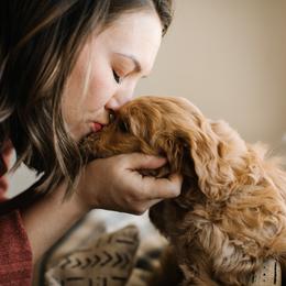 Goldendoodle Puppies from Bountiful Doodles