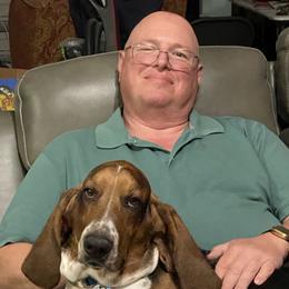 Bosco - Basset Hound