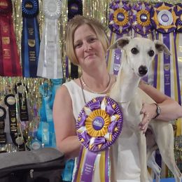 Poodles and Whippets from Moonbeam Whippets And Poodles