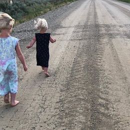 Samoyeds from Morning Star Samoyeds
