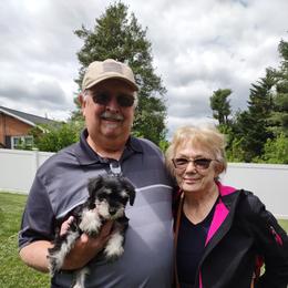 Miniature Schnauzer Puppies from Shenandoah Schnauzers