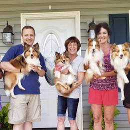 Shetland Sheepdog All Grown Up from Fox Point Farm Toy Shelties