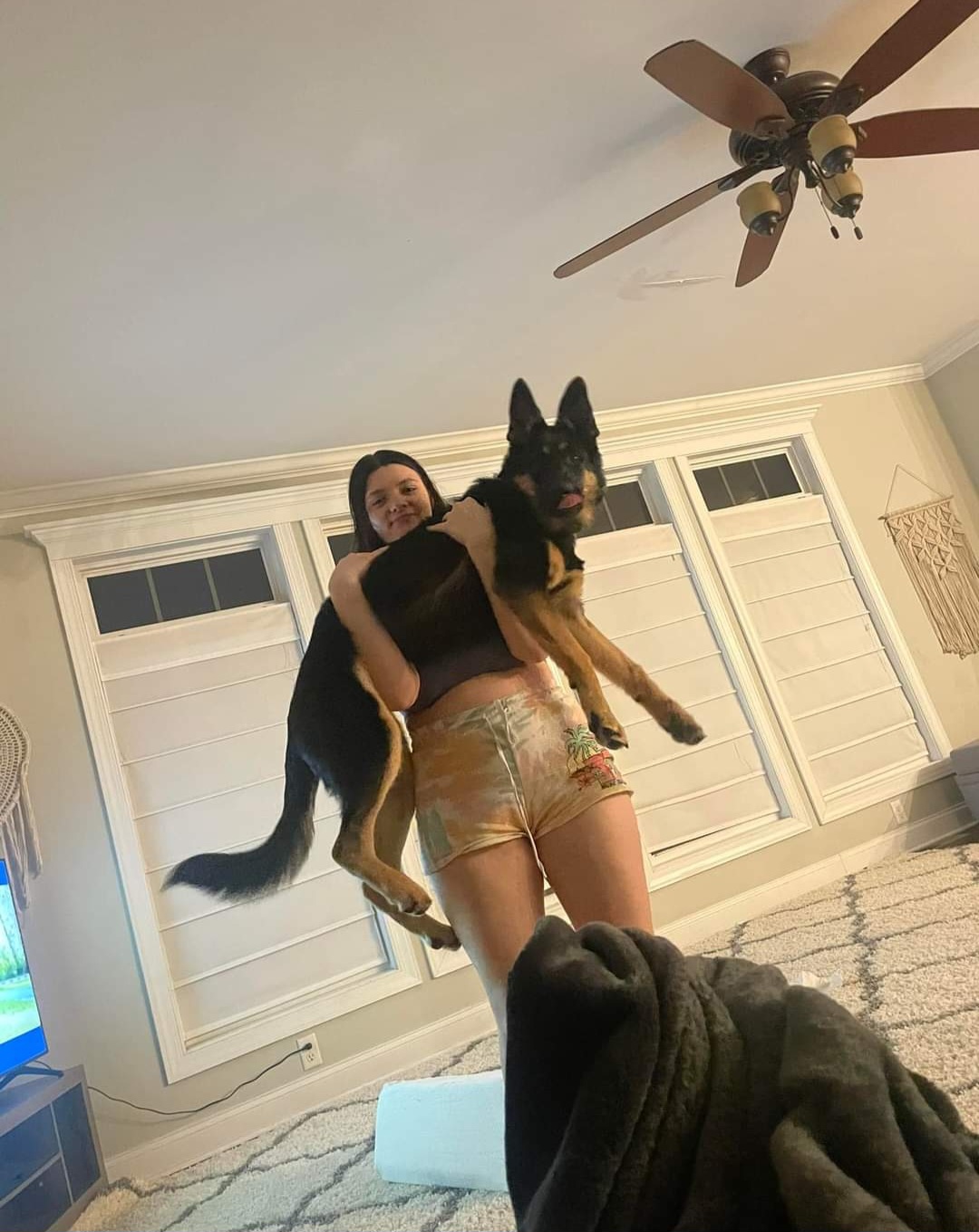 German Shepherd Puppies from Shepherds of the Hundred Acres