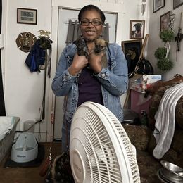 Chihuahua and Poodle Puppies from Garrett’s Chihuahuas and Poodles