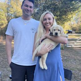 Labrador Retriever Puppies from Flashylabs AKC GRAND CHAMPION SIRED