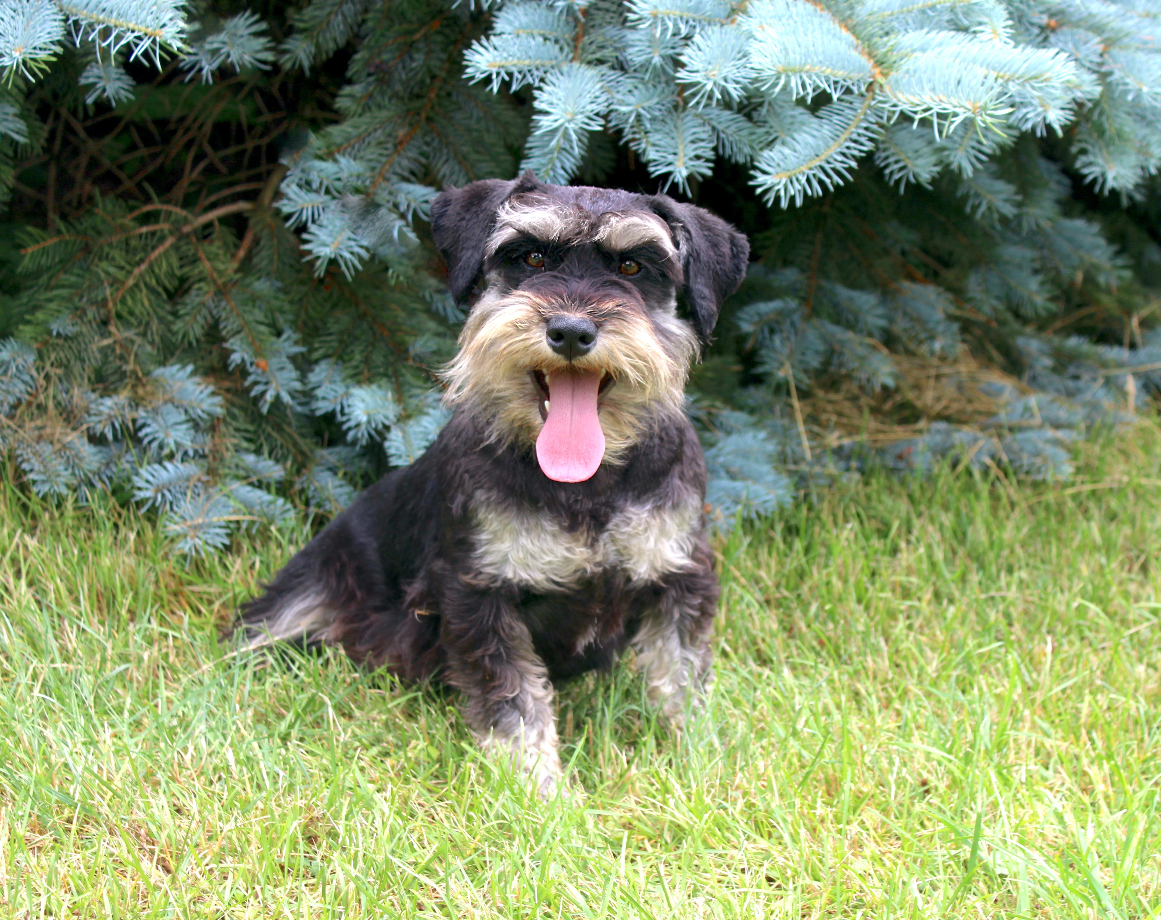Tabitha