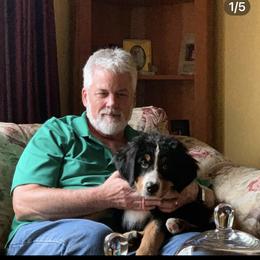 Bernese Mountain Dog Puppies from Lonesome Pine Farm
