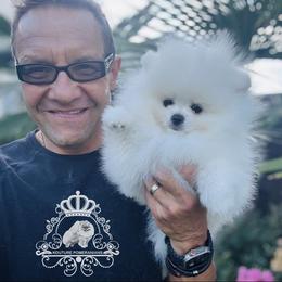 Pomeranian Puppies from Kouture Pomeranians