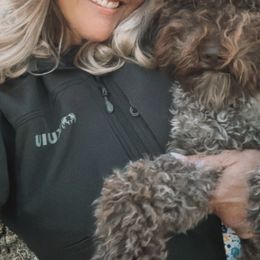 Lilo - Lagotto Romagnolo