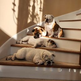 Bulldog Puppies from BtS Bulldogs