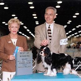 Cavalier King Charles Spaniel Puppies from Castlemar Cavaliers